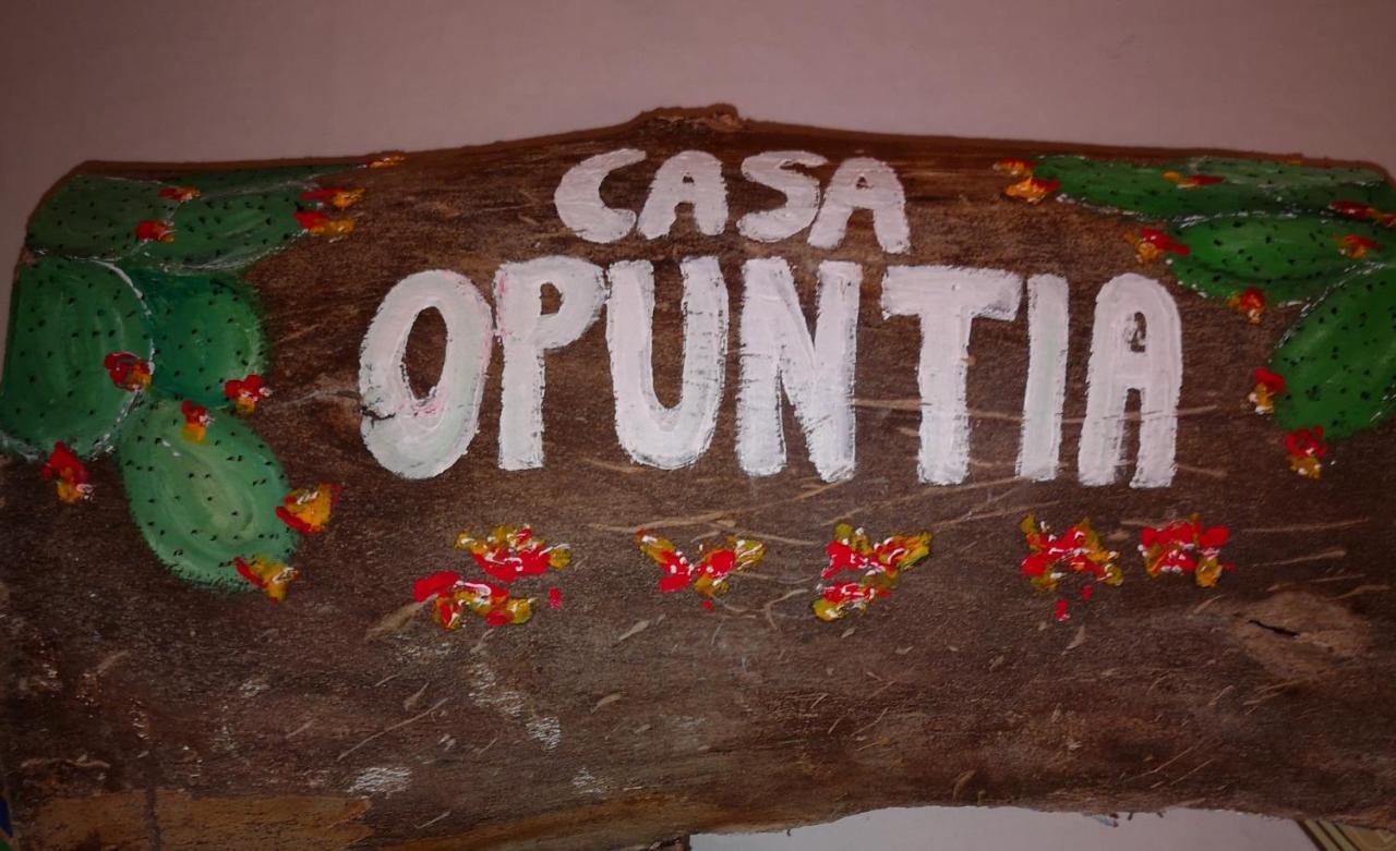 Casa Opuntia Villa Pappaygiannades Ngoại thất bức ảnh